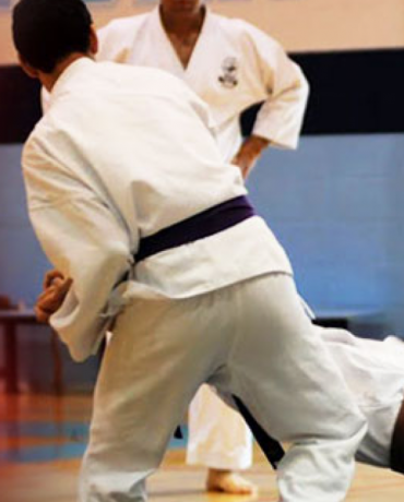 Karate Do Beginner & Int.